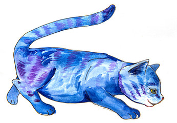 a cute blue cat - aquarell picture