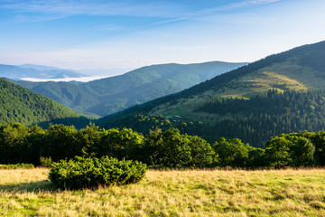 Obraz premium mountain landscape with clouds. beautiful summer scenery. forest on the hills