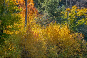 Adirondacks in the fall