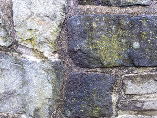 Damp Rock wall with lichen and moss background texture