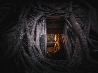Low Angle View Of Buddha Statue Seen Through Doorway Amidst Roots