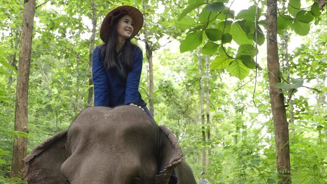 The Young Lady Wearing Traditional Costume Riding An Elephant In The Forest 