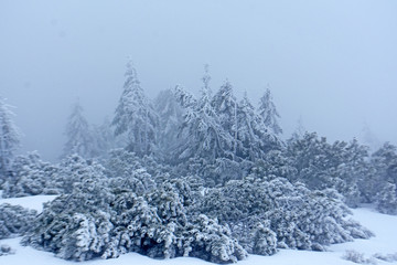 góry śnieżka wędrówka zimą