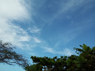 Obraz premium Sky overview