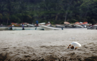 Fototapeta na wymiar Skull on sand in pirate island