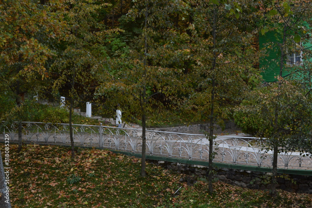 Wall mural bridge in the park