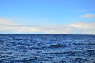 Fototapeta premium sea and blue sky