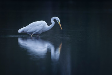 dark lake atmosphere