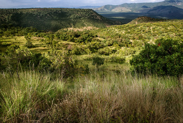 Fototapeta na wymiar Panoramic view to Mago National Park at Omo valley, Etiopia