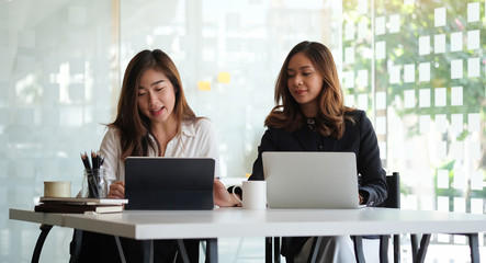 Business working in office with documents and laptop people Consulting and business planning.