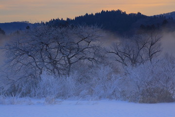 冬の雪景色