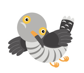 Cartoon cuckoo colorful bird on white background - illustration