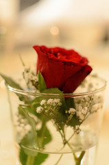 Rote Rosenblüte als Tischdekoration