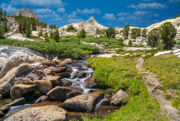 Fototapeta na wymiar Flowing water and grass in the mountain backcountry of the Sierra Nevada in California