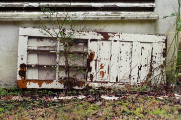 Chipped painted door laying on side against wall. 