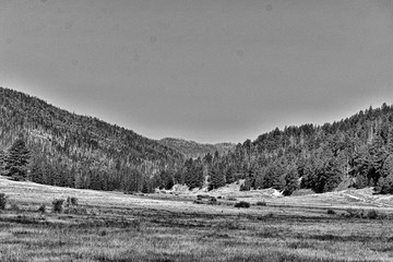 Black and white upload