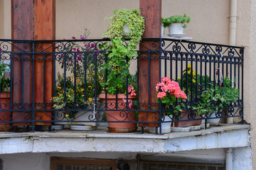 balcony with beautiful potted plants