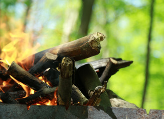 bonfire in the forest for grilling