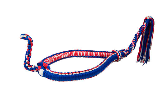 รูปภาพSalu เลือกดูภาพถ่ายสต็อก เวกเตอร์ และวิดีโอ231 Adobe Stock