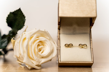 Close-up of eternity earring in gift box with white rose © Synergic Works OÜ