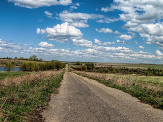 Fototapeta na wymiar Forest dirt road in a field and forest in summer in Russia