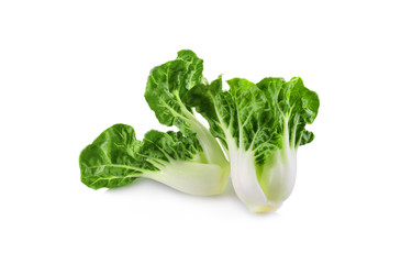 fresh baby chinese cabbage isolated on white background