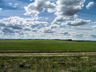 Fototapeta na wymiar Spring field of grass against the background of the forest and blue sky in Russia