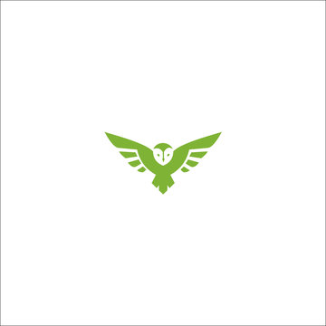 Owl logo and icon concept