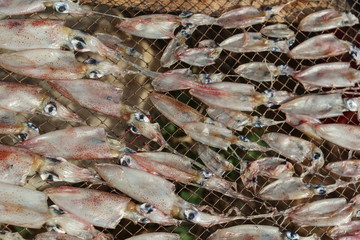 Vietnamese sun-dried squid for food