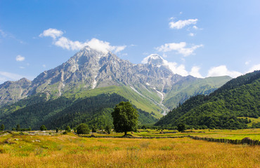 Beautiful landscape of the meadow on a background of snow-capped peaks of the Caucasus Mountains of Georgia