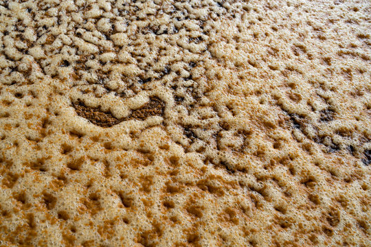 Los jugos del agave contienen levaduras, para producir el mosto.