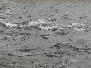 River Current