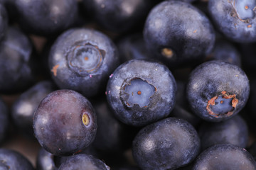 Fresh blueberries