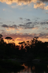 Silhouette of trees on sand beach with beautiful sky reflected on the Mekong River at sunset, The horizon began to turn gold color at night , Fluffy cloud formations in Stung Treng, Cambodia