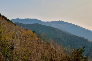 京都一周トレイル　北山コース　玉体杉付近からの眺め