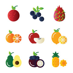 Fruit icon set include fruit, food, healthy food, lychee, blue berry, dragon fruit, orange, apple, lemon, avocado, MANGOSTEEN, pineapple, durian