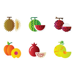 Fruit icon set include fruit, food, healthy food, watermelon, rambutan, peach, pomegranate, melon