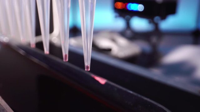 Automated DNA Processor real-time PCR cycler.  PCR robotic machine for molecular and genetic research laboratory