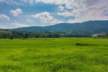 Scenic View Of Rice Field And Moutains Against Sky