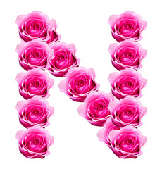 rose letters isolated on white background.