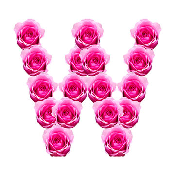 rose letters isolated on white background.