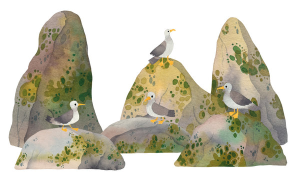 Cute watercolor lazy segull relaxing on sea rocks and cliffs. Kawaii gull birds illustration for children prints. 