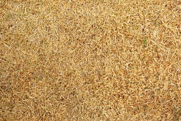 Background. The natural texture of  hay.