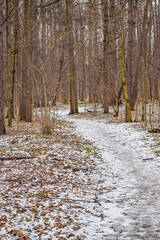 Autumn landscape of Central Russia. The first snow in the Park. Park path covered with snow.