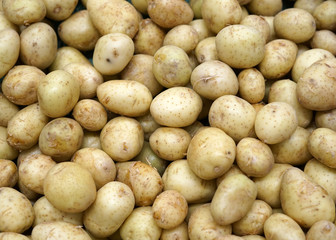Fresh potatoes in the supermarket for sale