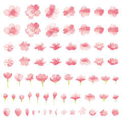 桜の水彩イラストパーツセット-Watercolor cherry blossoms © natsumi