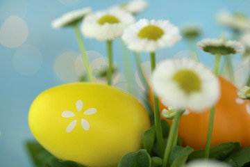 Easter holiday.Easter decorative eggs and white daisies on a light blue background with bokeh. Orange and yellow egg on a blue background.Spring festive  background