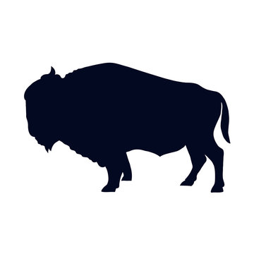 Buffalo Silhouette Isolated On White Background Vector Illustration