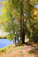autumn landscape with river