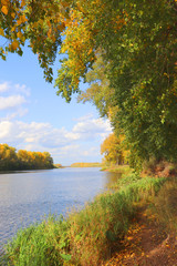 Obraz premium autumn landscape with river